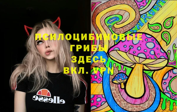 мяу мяу кристалл Алексин