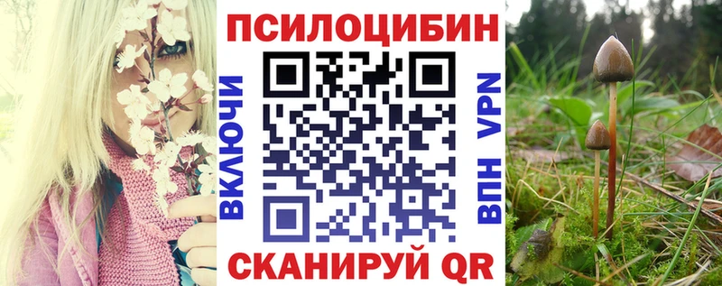 Галлюциногенные грибы MAGIC MUSHROOMS  hydra ТОР  Красный Кут 